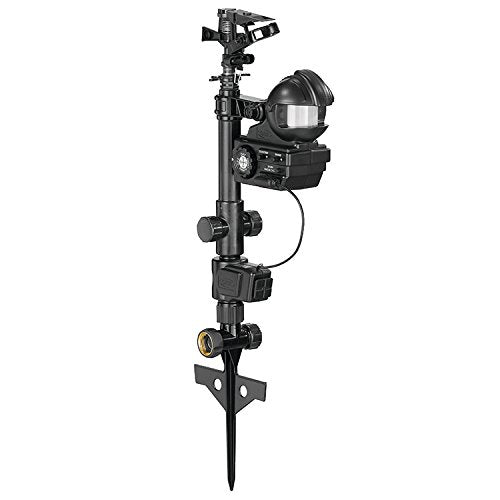 SMALL REHAB EPISODE #15 - TOP TEN BEST SPRINKLERS OF 2019